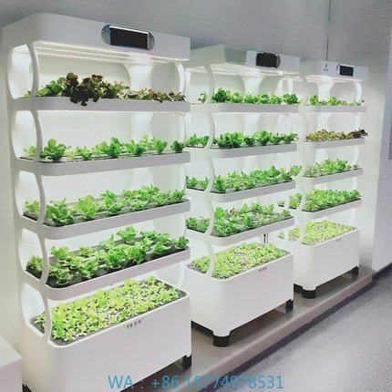 Iydroponic Automated Grow Syst - огляд і ціна Home Automation Systems Diy