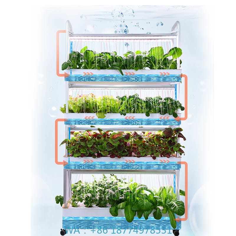 ydroponic Planting System Smar - огляд і ціна Home Automation Systems Diy