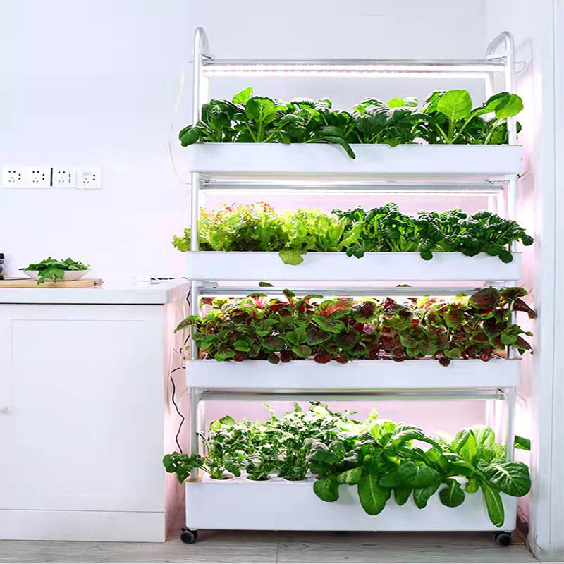 ydroponic Planting System Smar - огляд і ціна Home Automation Systems Diy