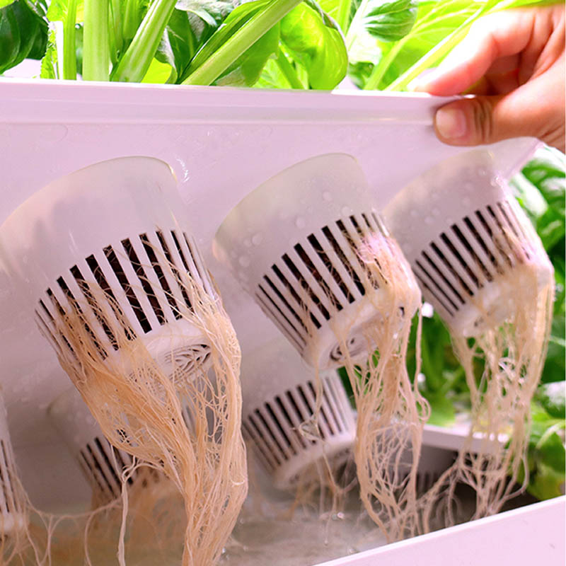 ydroponic Planting System Smar - огляд і ціна Home Automation Systems Diy
